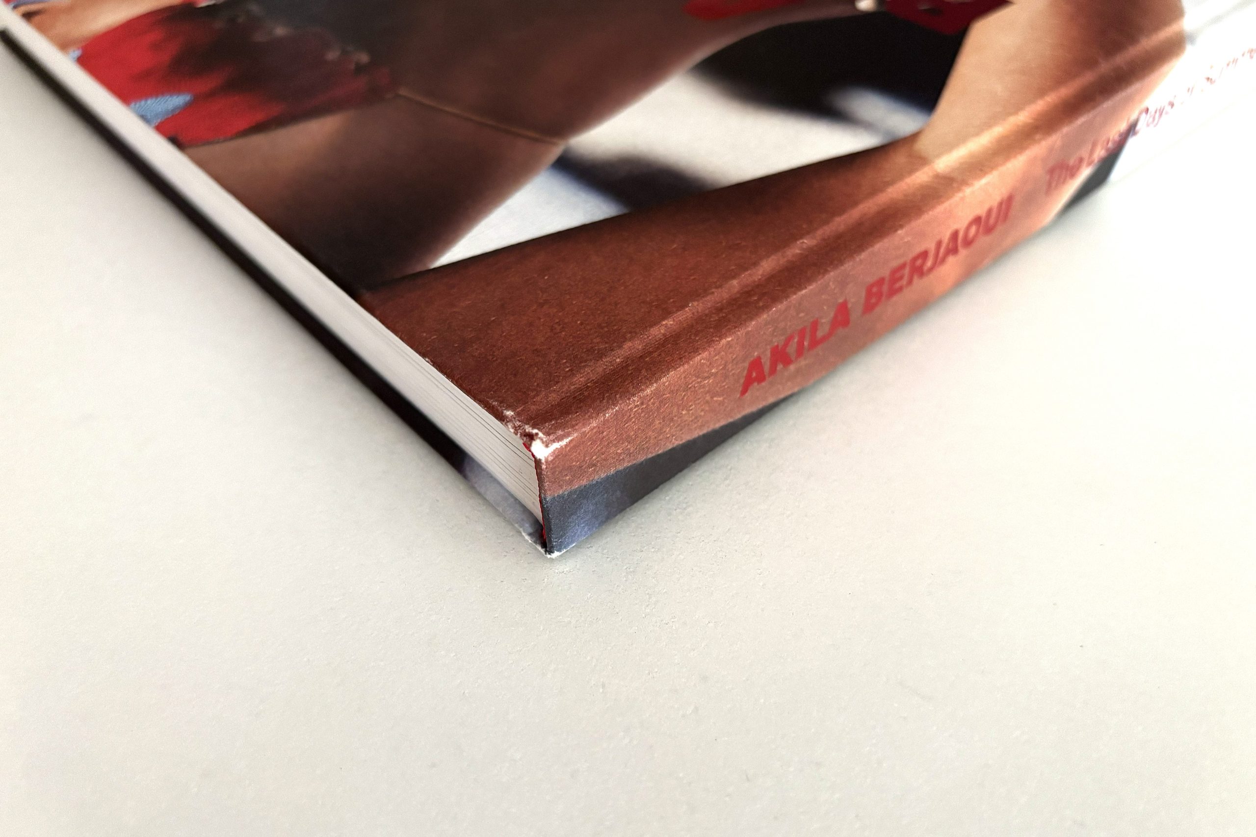 akila berjaoui the last days of summer love book hôtel (27)