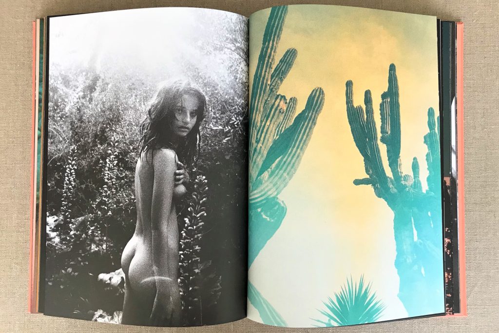 kate bellm la isla (third print) 2024 love book hôtel (27)