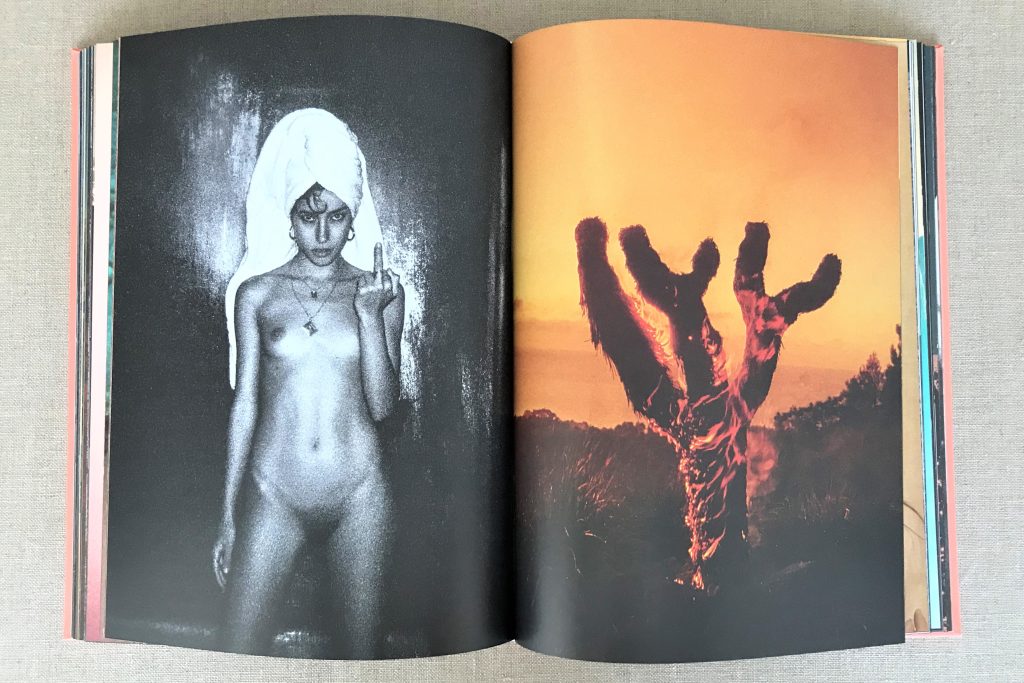 kate bellm la isla (third print) 2024 love book hôtel (29)