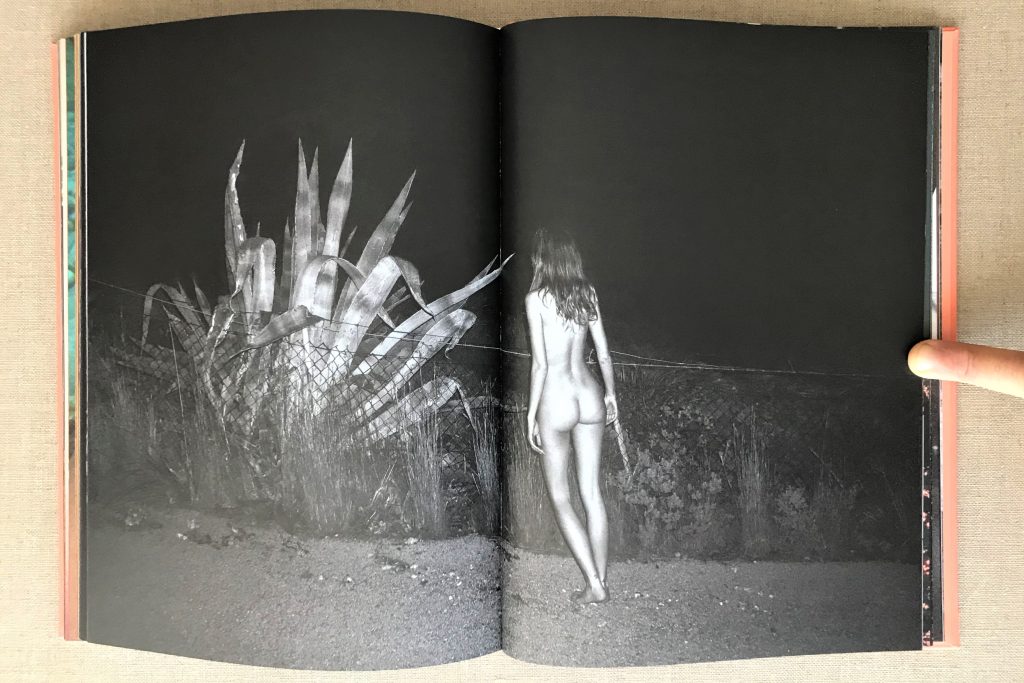 kate bellm la isla (third print) 2024 love book hôtel (30)