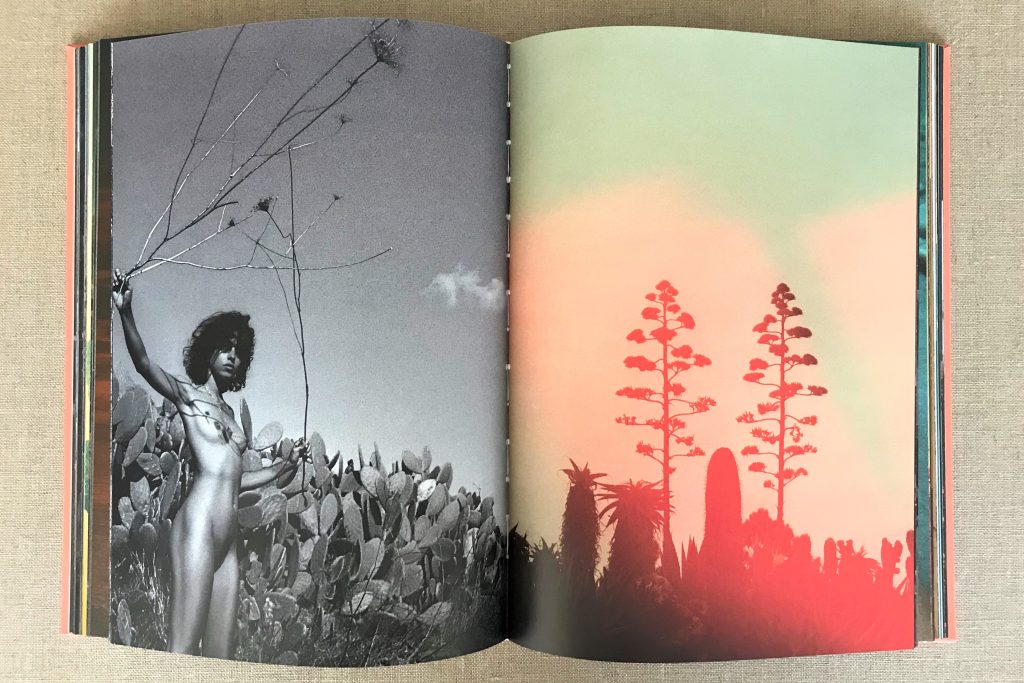 kate bellm la isla (third print) 2024 love book hôtel (38)