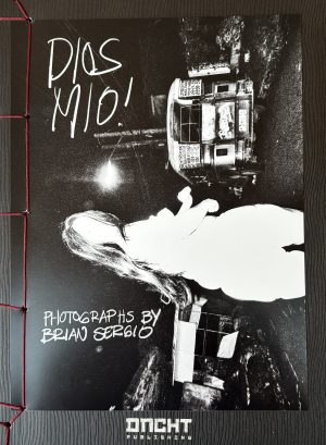 brian sergio dios mio ! love book hôtel (1)