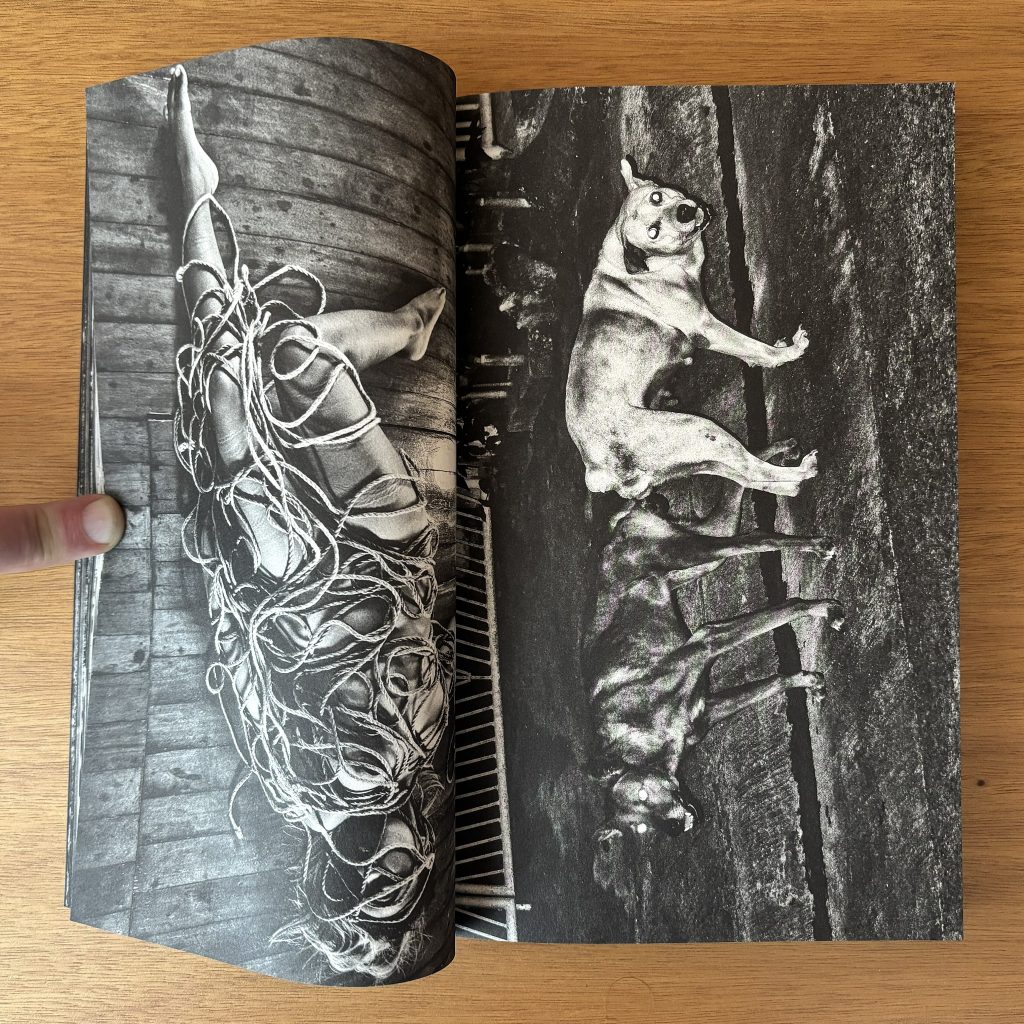 brian sergio dios mio ! love book hôtel (10)