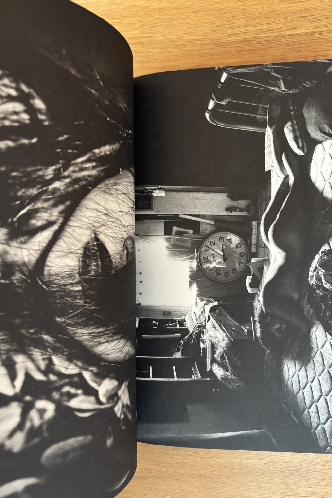 brian sergio dios mio ! love book hôtel (15)