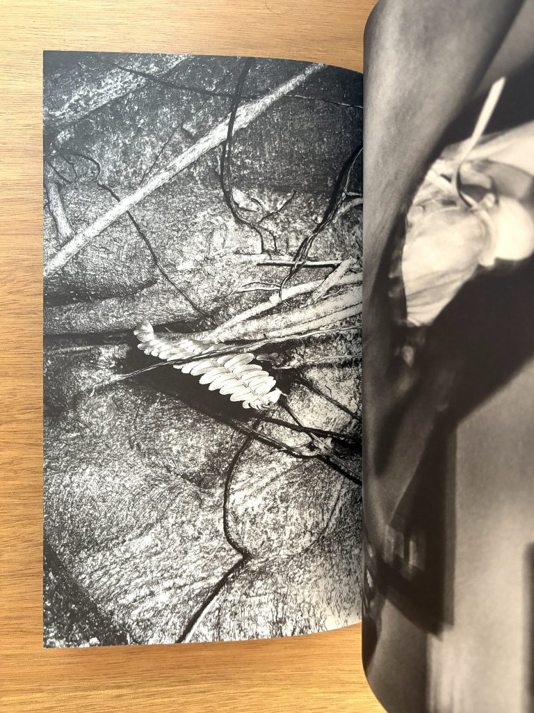 brian sergio dios mio ! love book hôtel (16)