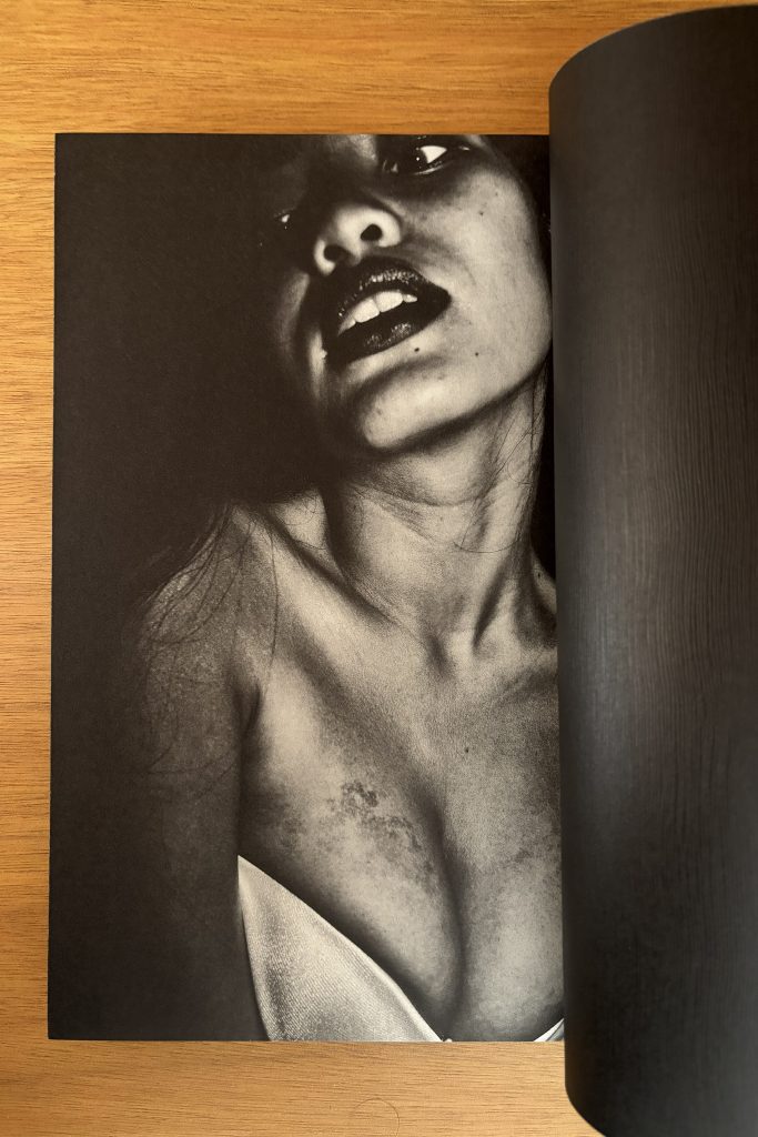 brian sergio dios mio ! love book hôtel (17)