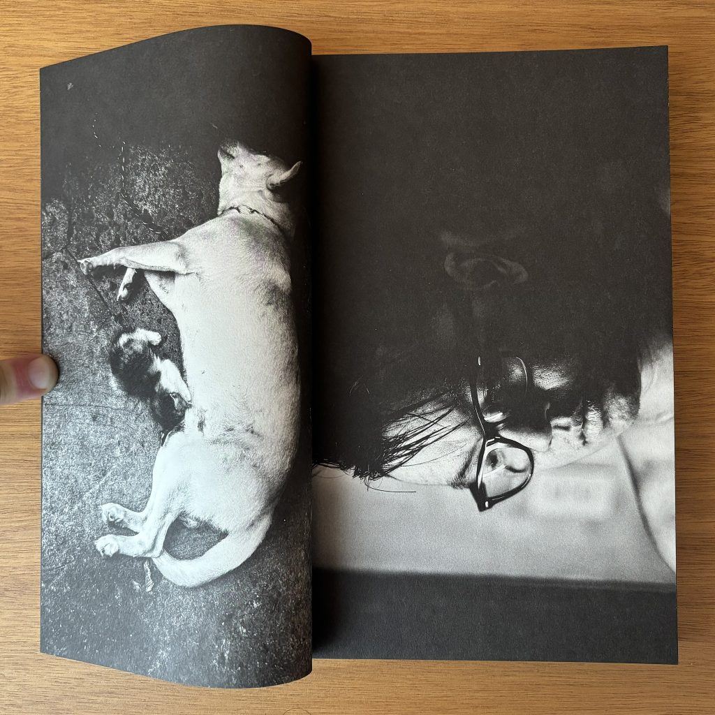 brian sergio dios mio ! love book hôtel (8)