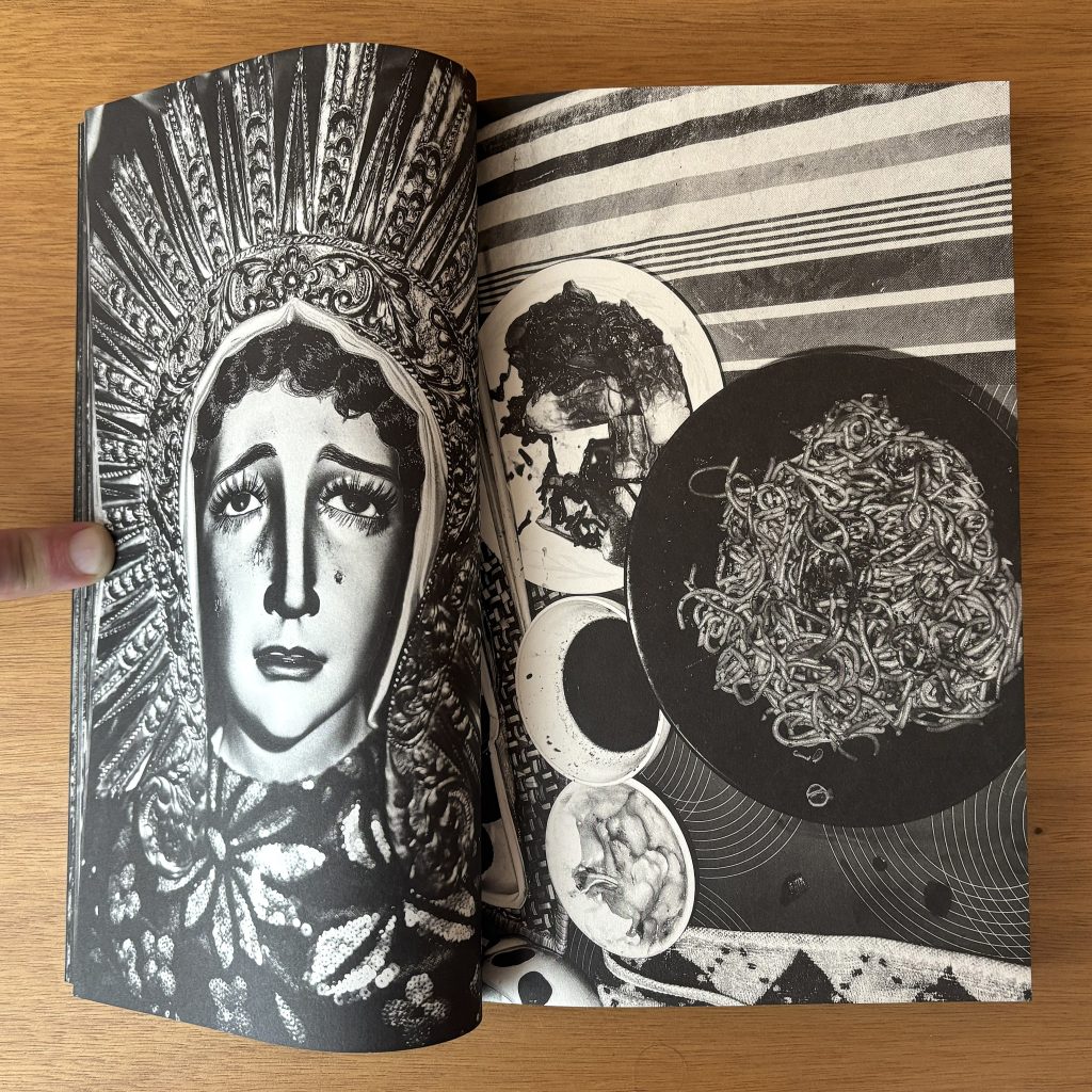 brian sergio dios mio ! love book hôtel (9)