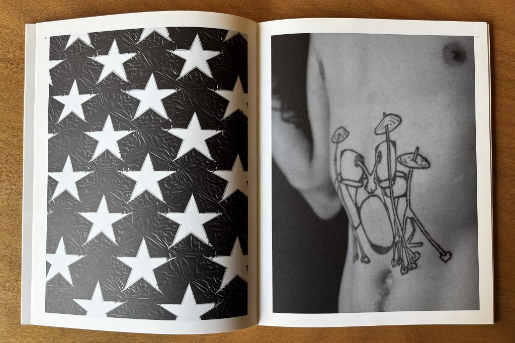 hedi slimane ppaper special 03 love book hôtel (14)