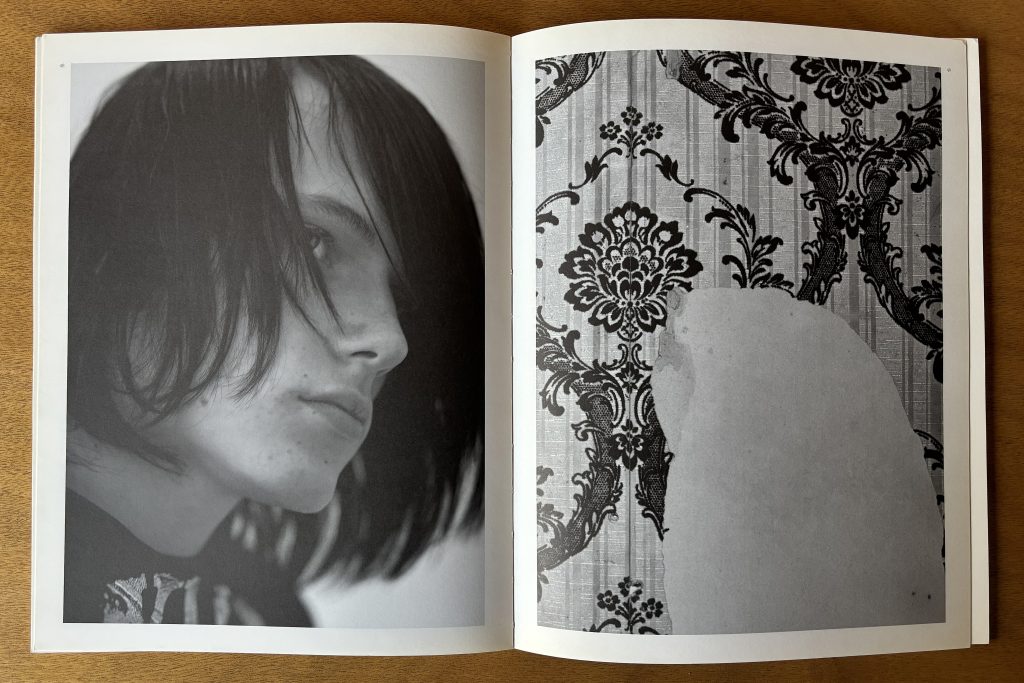 hedi slimane ppaper special 03 love book hôtel (16)