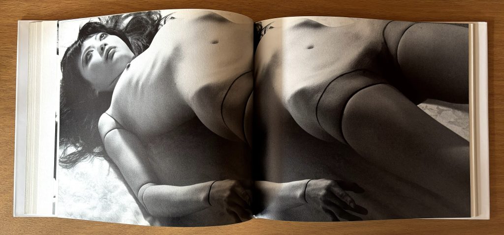 mario ambrosius ma poupée japonaise love book hôtel (21)