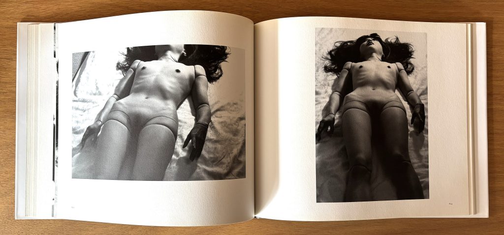 mario ambrosius ma poupée japonaise love book hôtel (22)