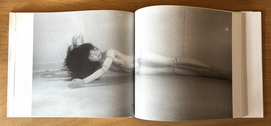 mario ambrosius ma poupée japonaise love book hôtel (25)