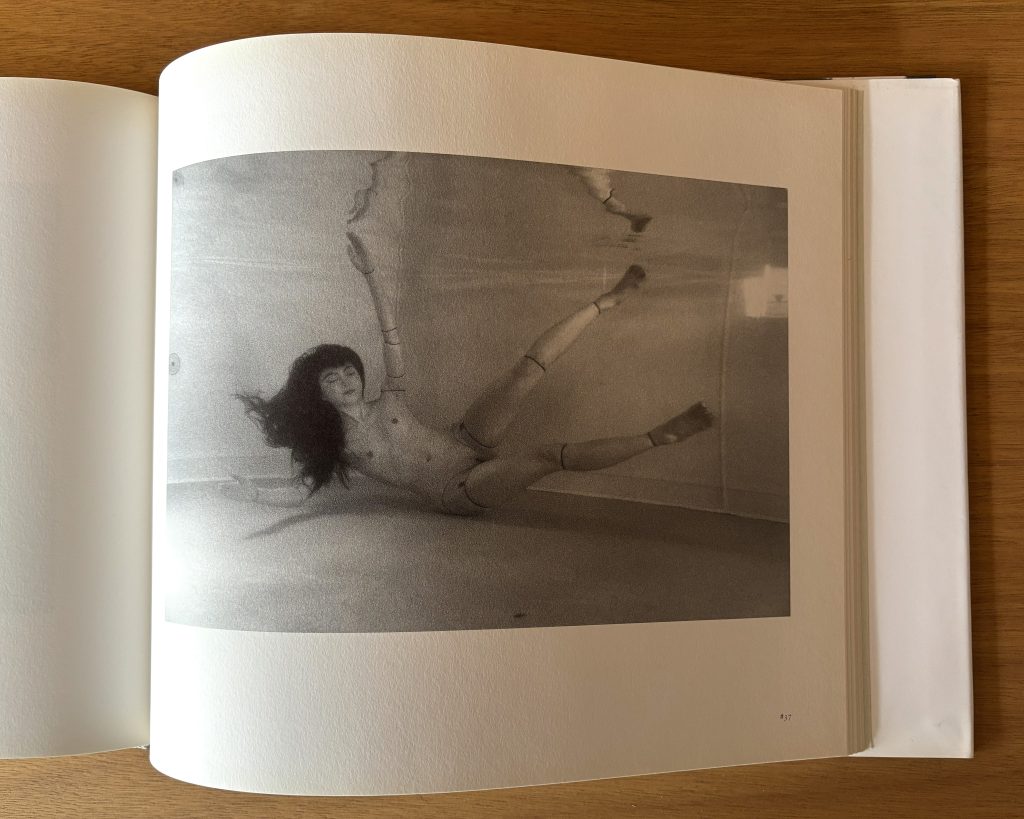 mario ambrosius ma poupée japonaise love book hôtel (26)