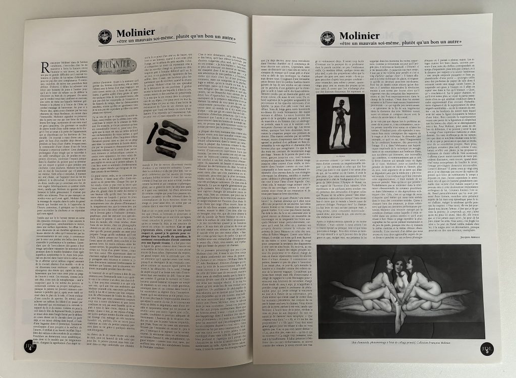 jour de lettres numéro 19 spécial pierre molinier love book hôtel (5)