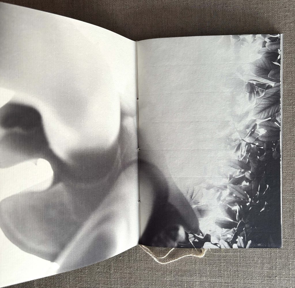 ma te dashan (signé) 2019 love book hôtel (16)