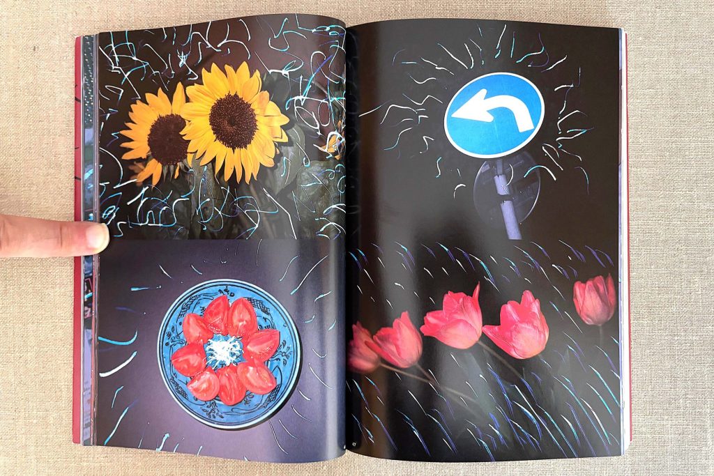 nobuyoshi araki the works of nobuyoshi araki 14 obscenities and strange black ink stories love book hôtel (16)