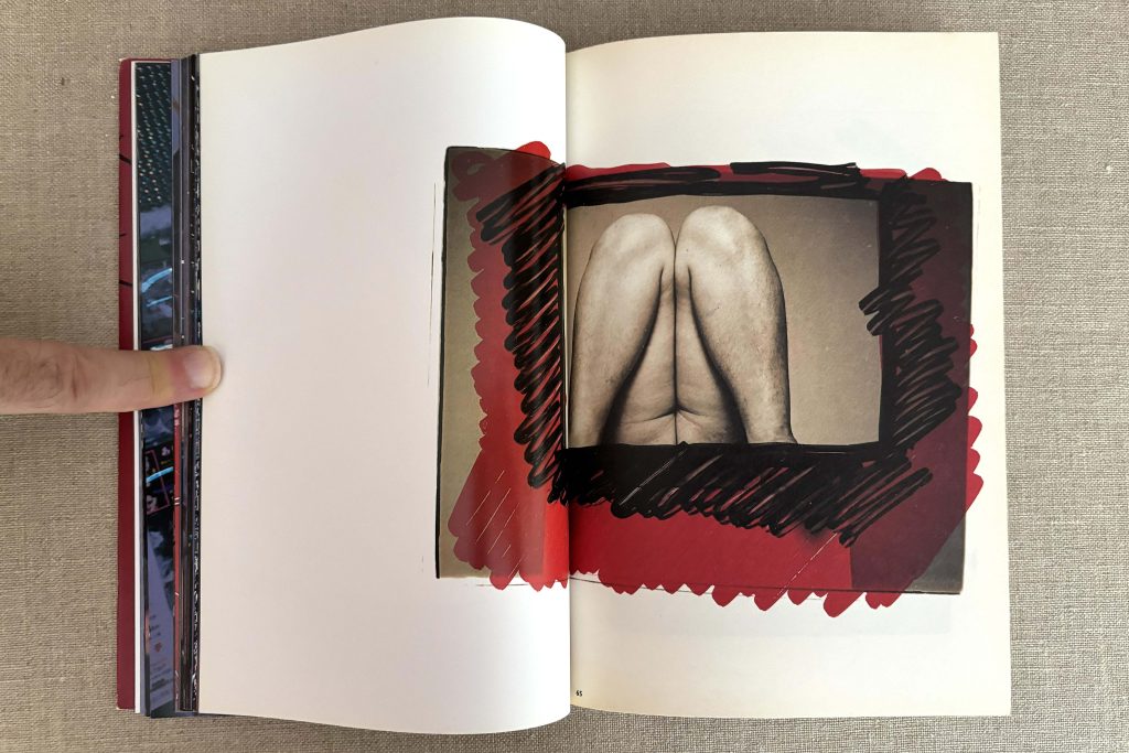 nobuyoshi araki the works of nobuyoshi araki 14 obscenities and strange black ink stories love book hôtel (18)