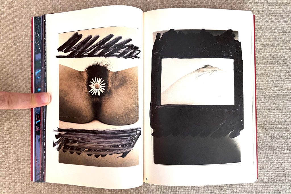 nobuyoshi araki the works of nobuyoshi araki 14 obscenities and strange black ink stories love book hôtel (19)