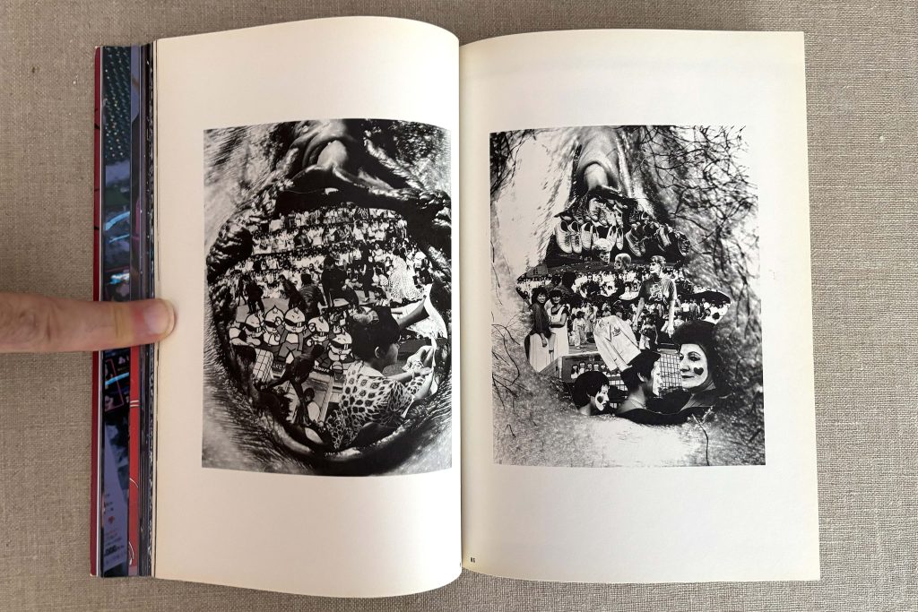 nobuyoshi araki the works of nobuyoshi araki 14 obscenities and strange black ink stories love book hôtel (22)
