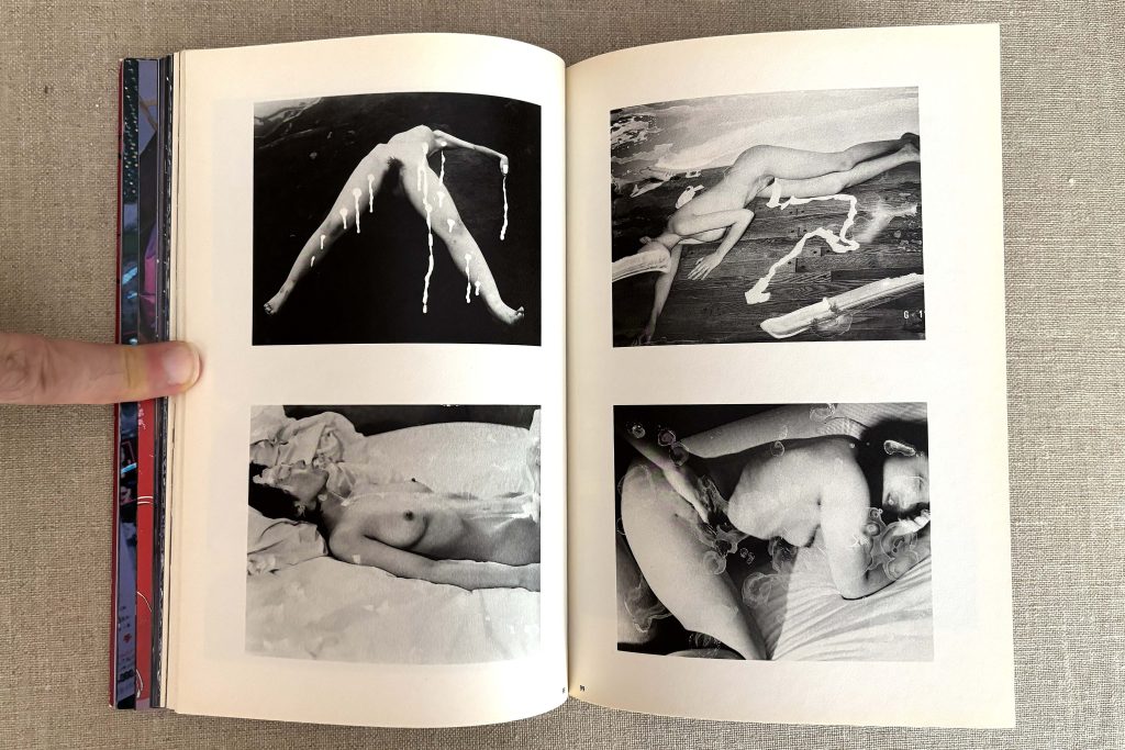nobuyoshi araki the works of nobuyoshi araki 14 obscenities and strange black ink stories love book hôtel (24)