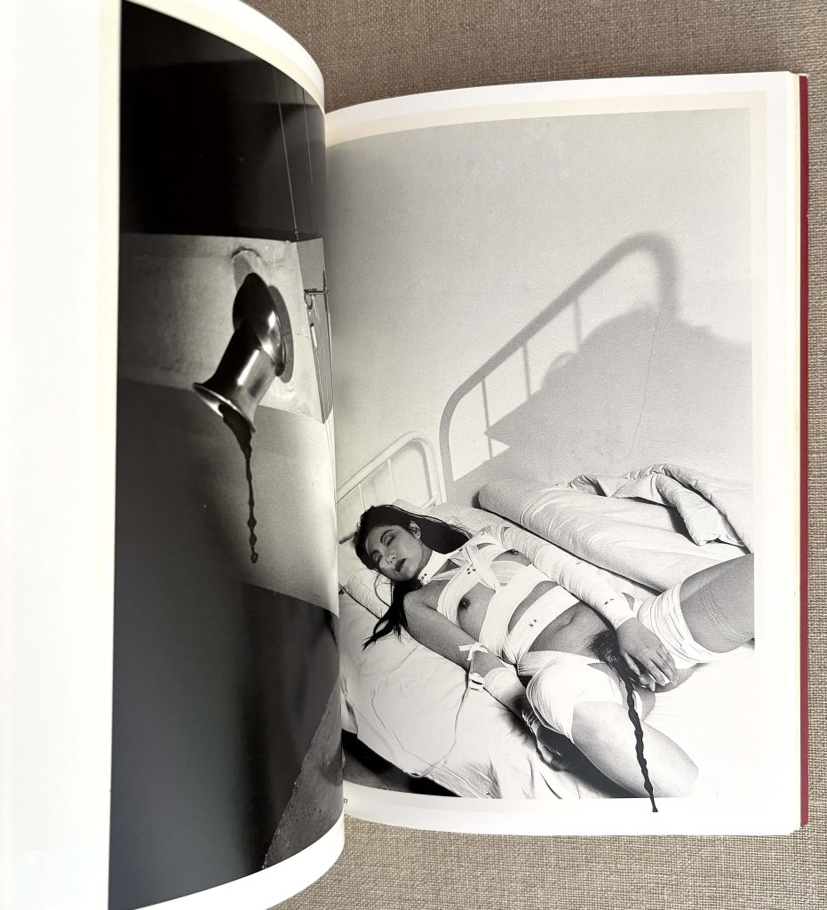 nobuyoshi araki the works of nobuyoshi araki 14 obscenities and strange black ink stories love book hôtel (30)