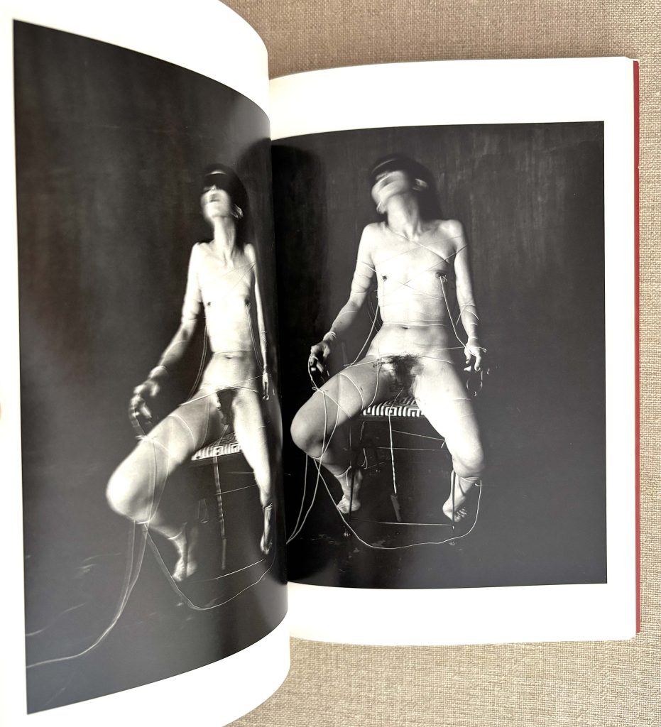 nobuyoshi araki the works of nobuyoshi araki 14 obscenities and strange black ink stories love book hôtel (31)