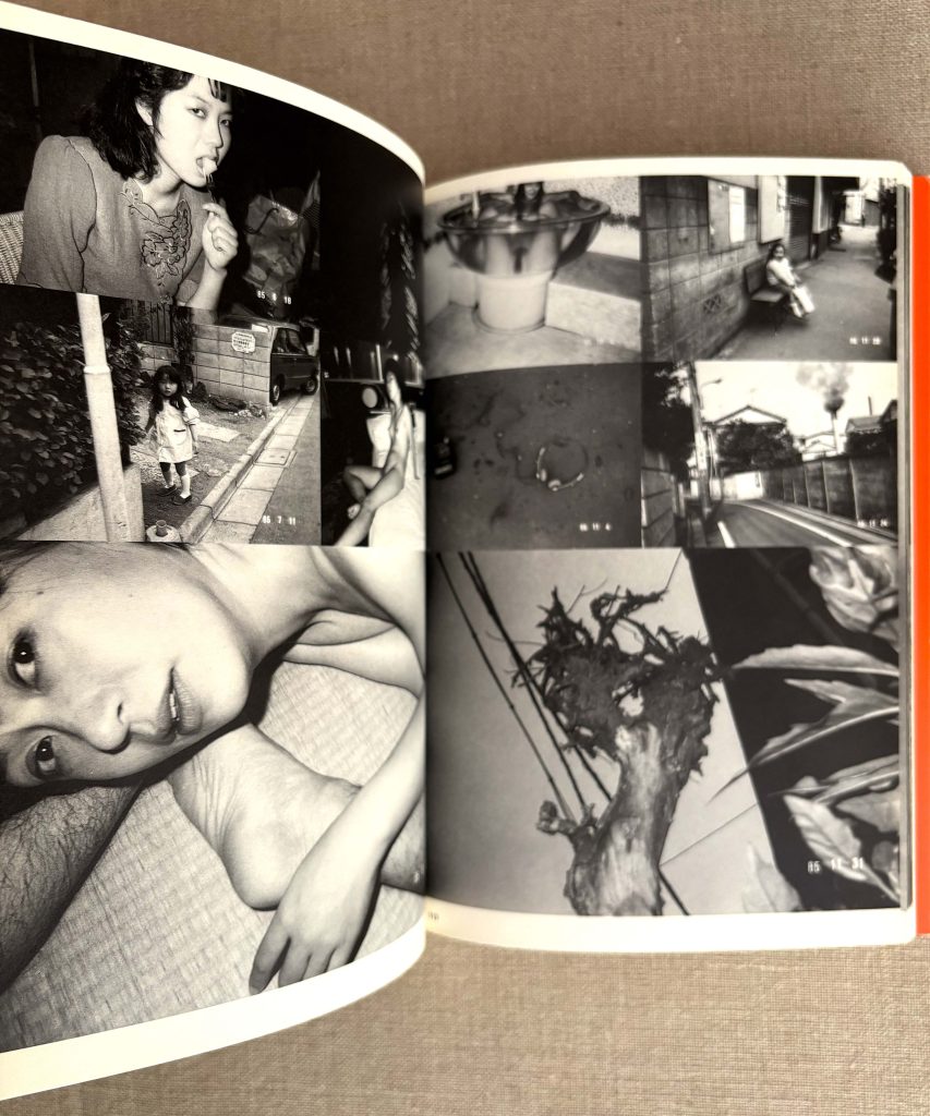 nobuyoshi araki the works of nobuyoshi araki 8 private diary 1980 1995 love book hôtel (21)
