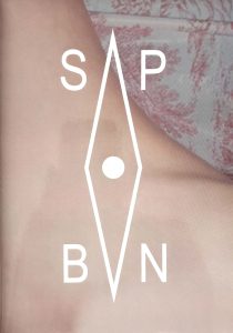 aaron mcelroy spbn love book hôtel (1)