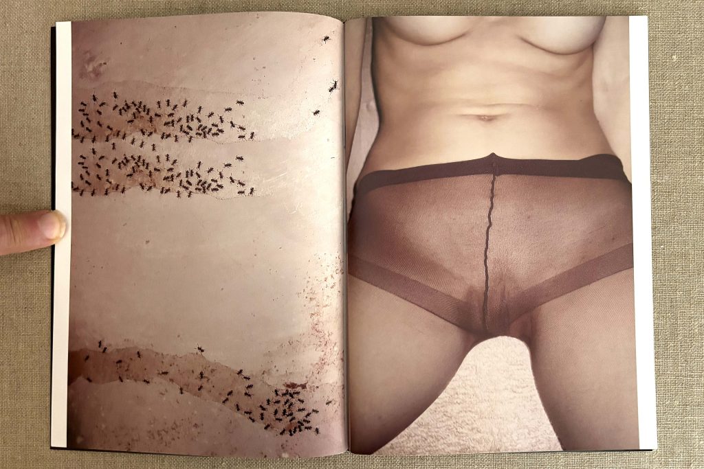 aaron mcelroy spbn love book hôtel (10)