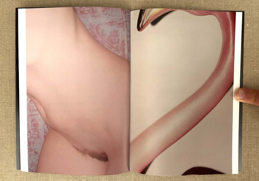 aaron mcelroy spbn love book hôtel (14)