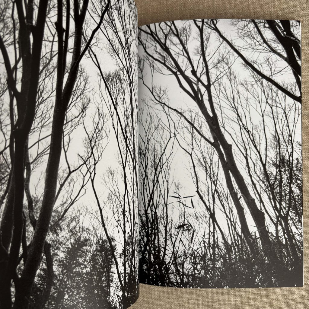 tatsuo suzuki tokyo street volume 4 love book hôtel (11)