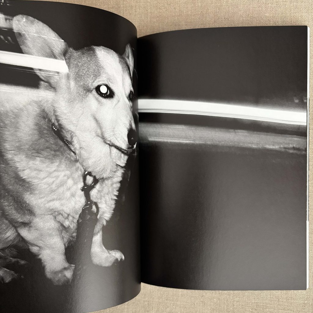 tatsuo suzuki tokyo street volume 4 love book hôtel (14)