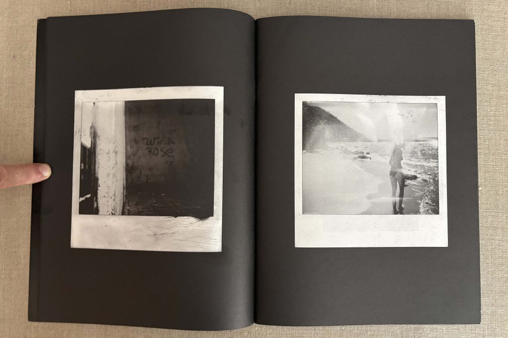 dash snow the dash snow purple book you can't drink it if it's frozen love book hôtel (13)