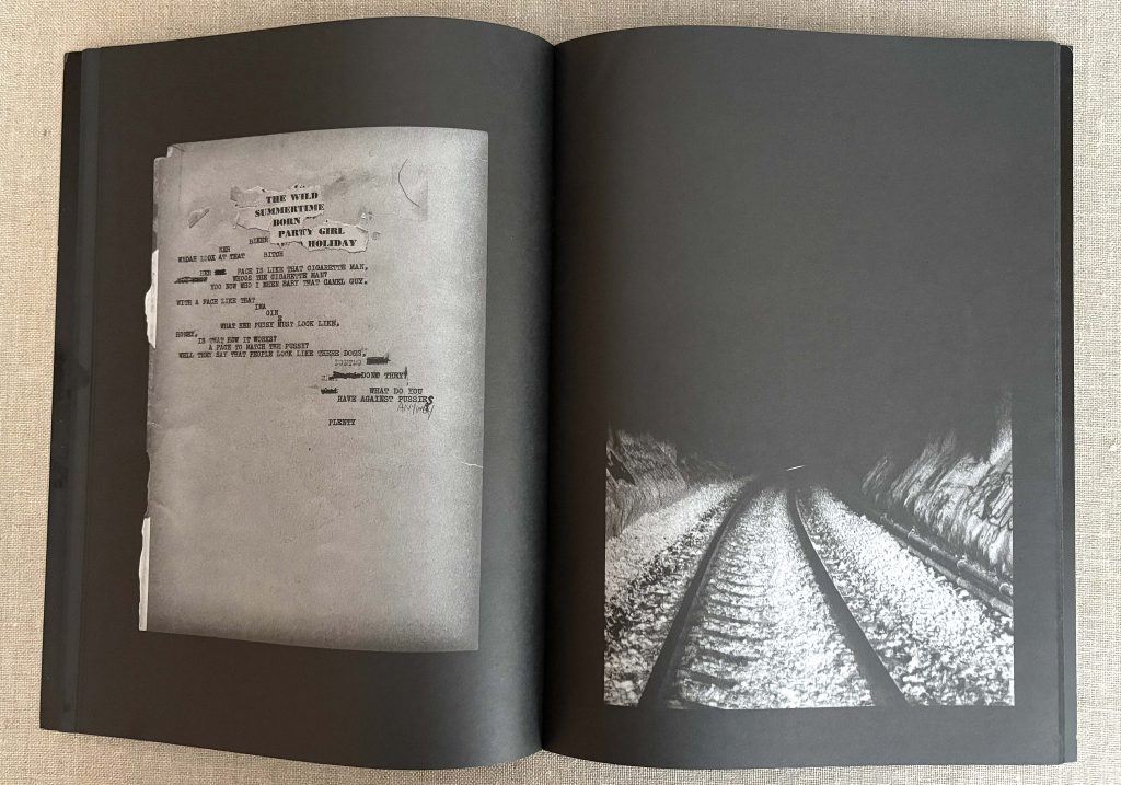 dash snow the dash snow purple book you can't drink it if it's frozen love book hôtel (18)