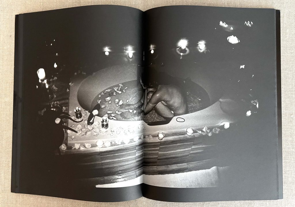 dash snow the dash snow purple book you can't drink it if it's frozen love book hôtel (19)
