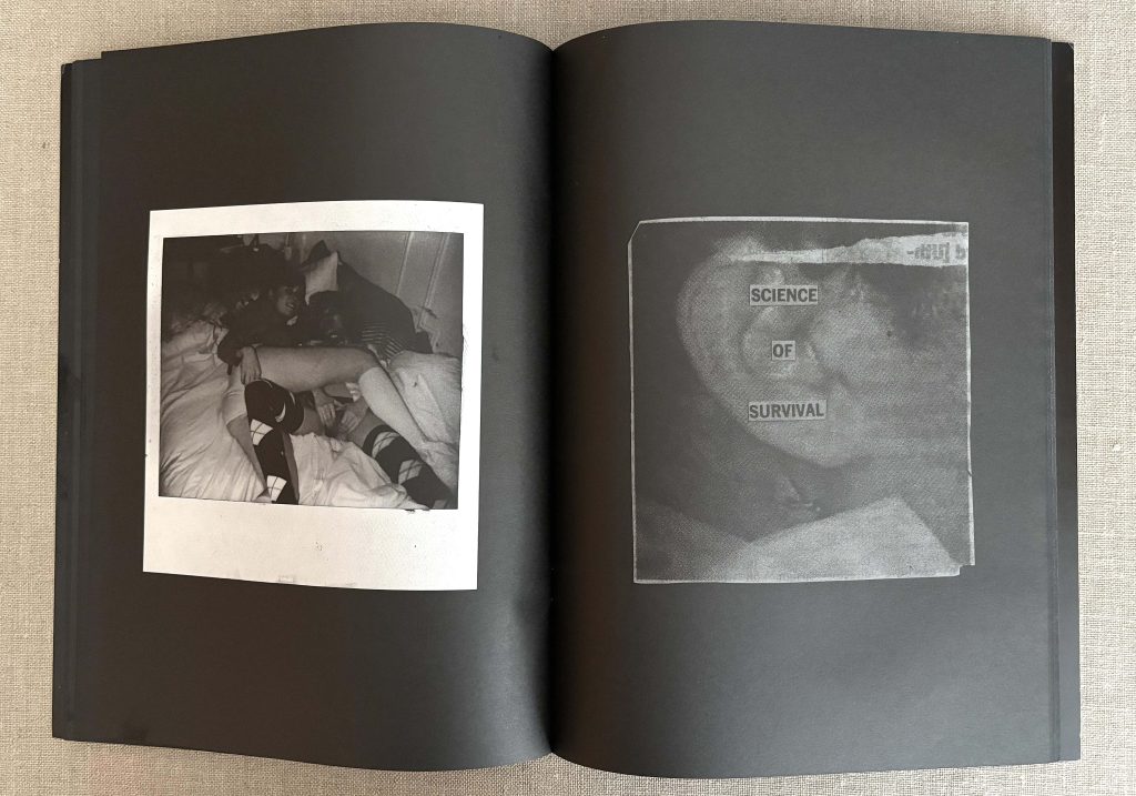 dash snow the dash snow purple book you can't drink it if it's frozen love book hôtel (20)