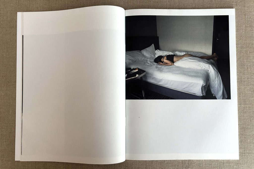 takashi homma the takashi homma purple book landscapes love book hôtel (14)