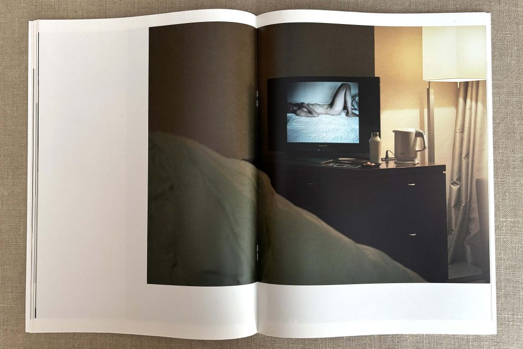takashi homma the takashi homma purple book landscapes love book hôtel (18)