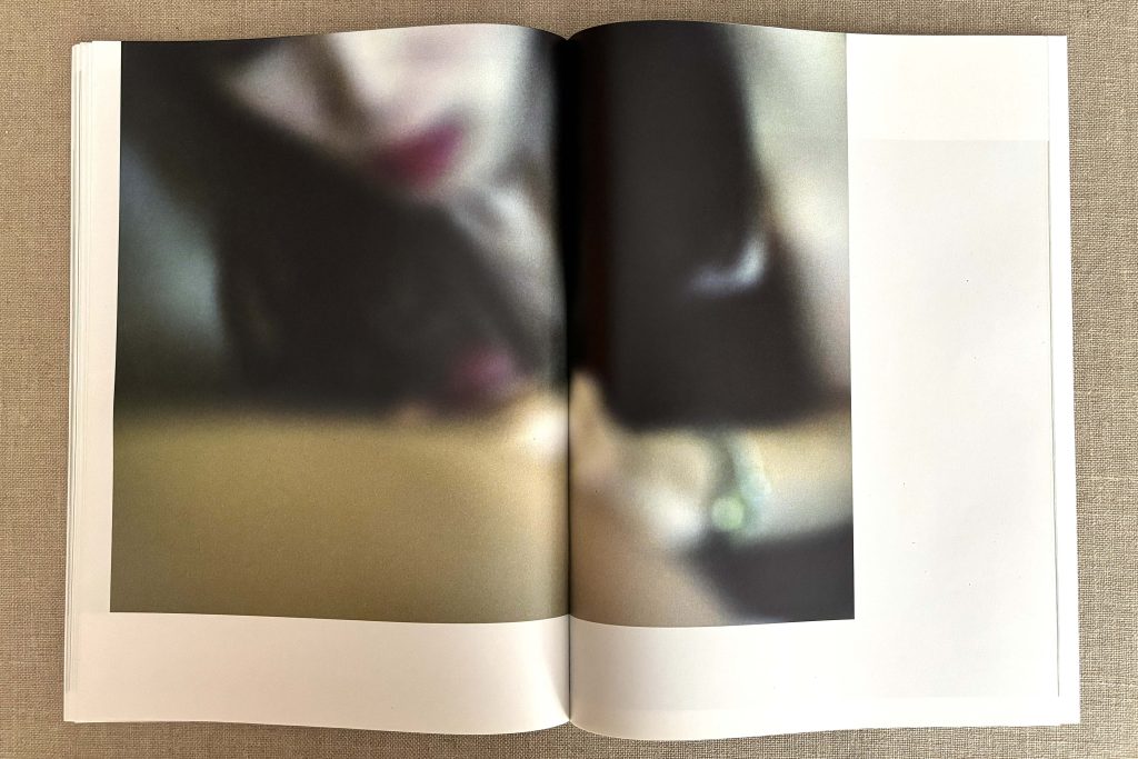 takashi homma the takashi homma purple book landscapes love book hôtel (21)