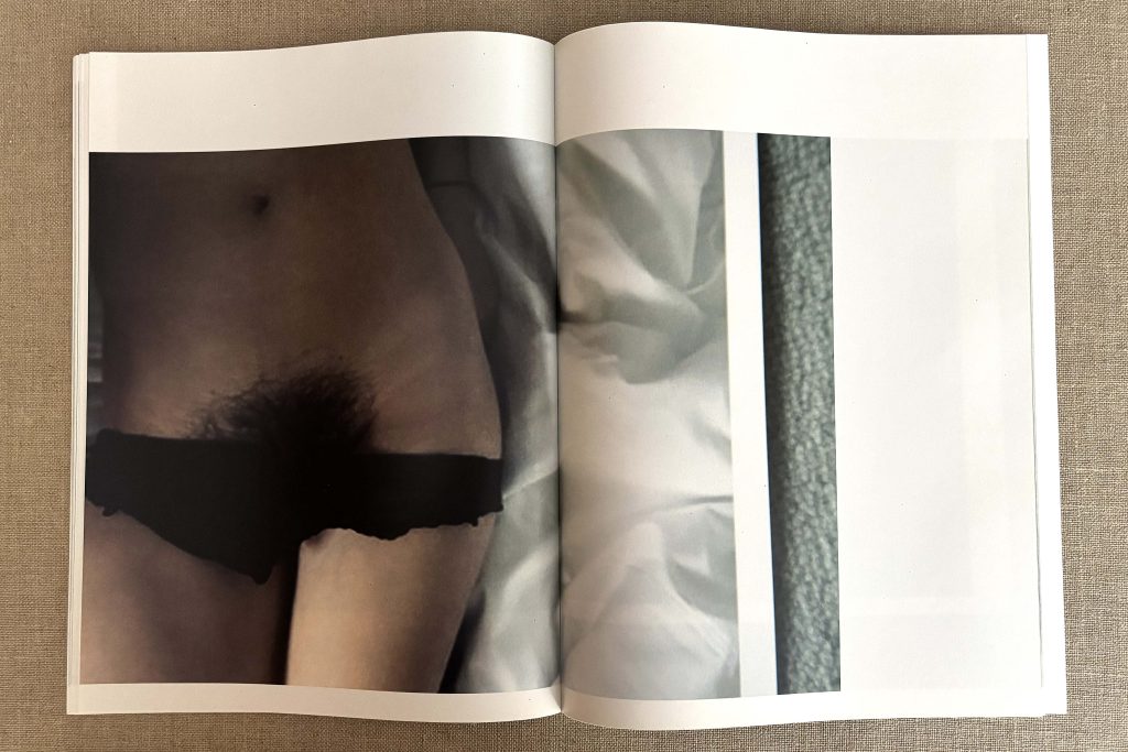 takashi homma the takashi homma purple book landscapes love book hôtel (22)