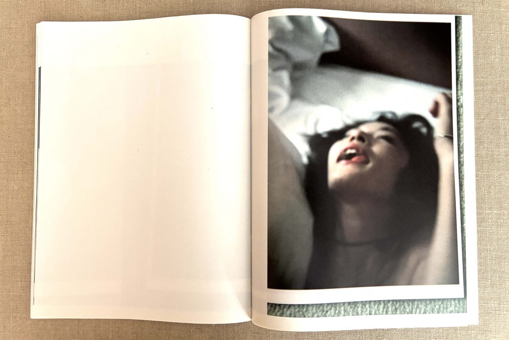 takashi homma the takashi homma purple book landscapes love book hôtel (24)