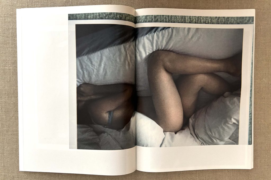 takashi homma the takashi homma purple book landscapes love book hôtel (25)