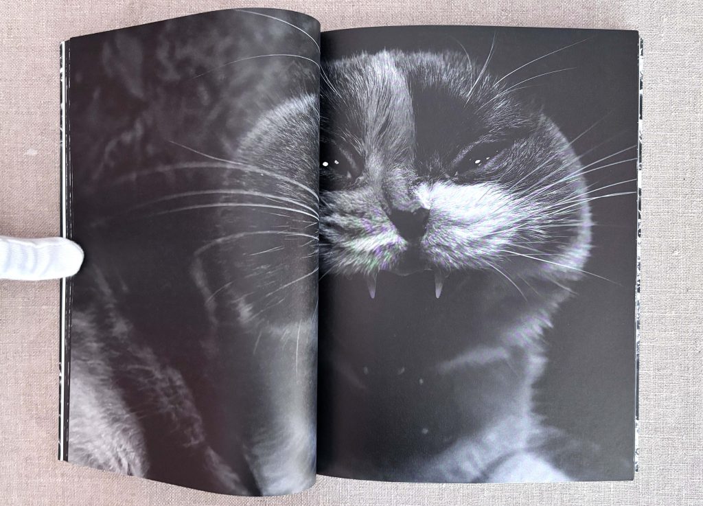 tatsuo suzuki bundle numéro 1 the sound of waves (signé) love book hôtel (13)