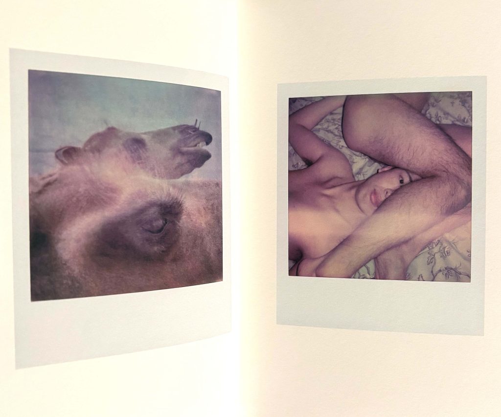 lin zhipeng 123 polaroïds love book hôtel (18)