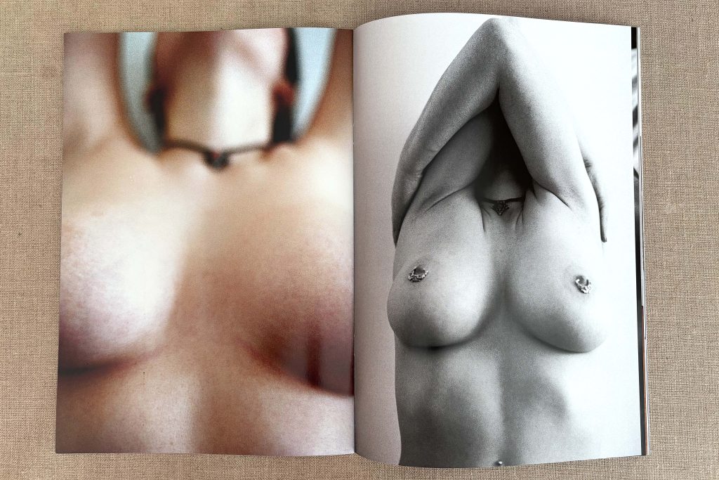 michaëlis moshe analog nudes love book hôtel (12)